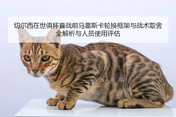 qie-er-xi-zai-shi-ju-bei-shou-zhan-qian-ma-lei-si-ka-lun-huan-kuang-jia-yu-zhan-shu-qu-she-quan-jie-xi-yu-ren-yuan-shi-2-986.jpg